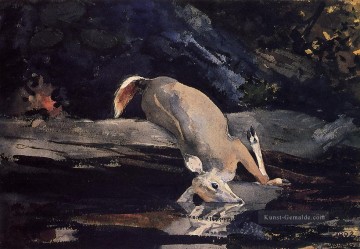 gefallen Deer Realismus Maler Winslow Homer Ölgemälde